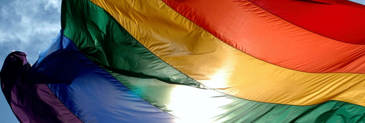 La CUP insta a la Diputació a donar suport als ens locals en polítiques LGBTI